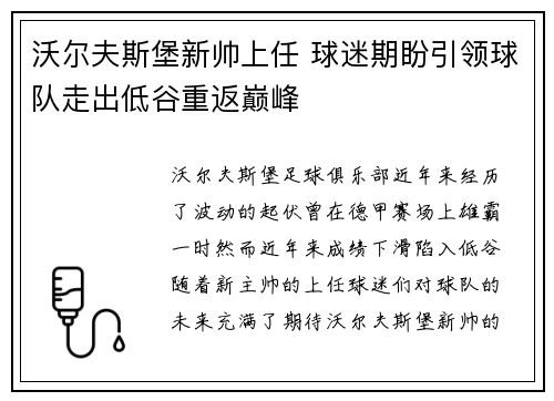 沃尔夫斯堡新帅上任 球迷期盼引领球队走出低谷重返巅峰